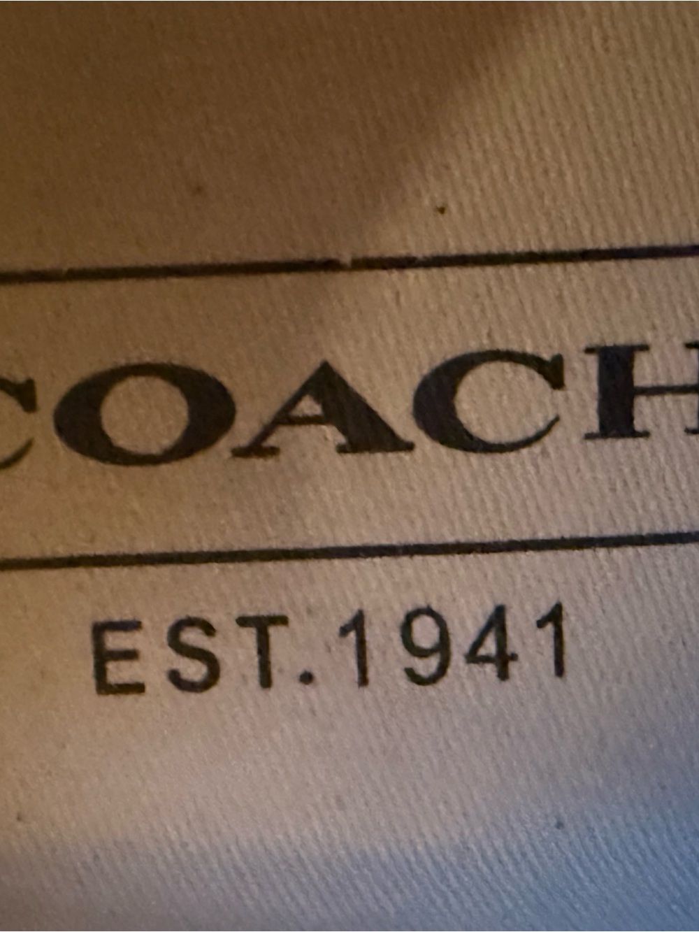 Coach Beige Logo Canvas Close-Up - Picture 3 of 4